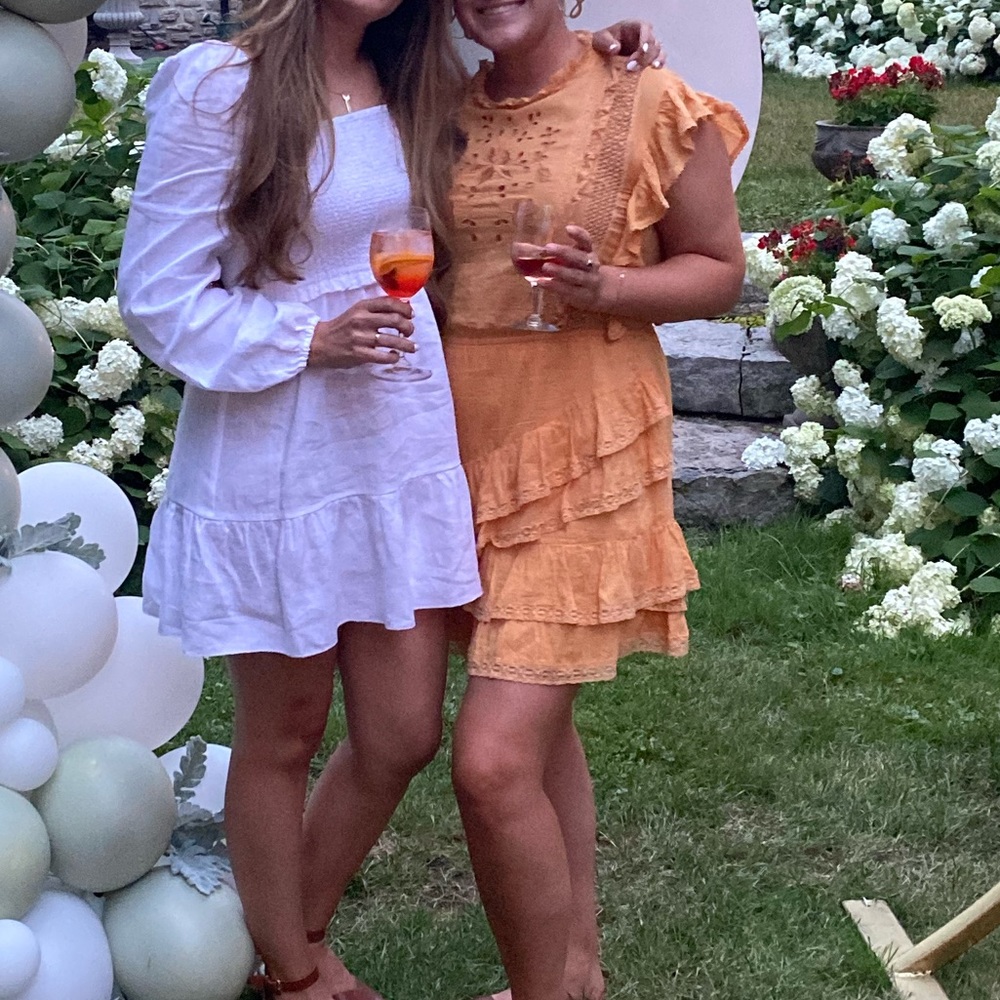Aritzia Sunday Best Dress